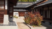 P1019116.JPG