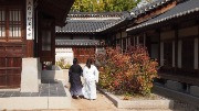 P1019118.JPG
