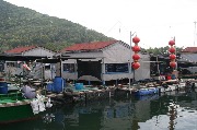 545-IMG_1740.jpg