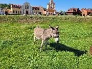 20240919_121008.jpg