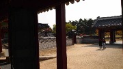 P1019097.JPG