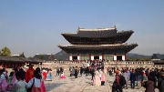 P1019035.JPG