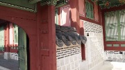 P1019087.JPG