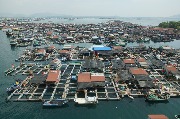 DSC03238.JPG