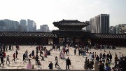 P1019052.JPG