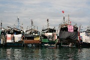 513-IMG_1708.jpg