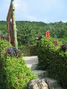 IMG_0178.JPG