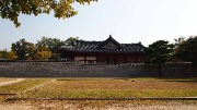P1019110.JPG