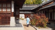 P1019115.JPG