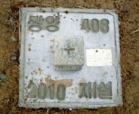 Triangulation point